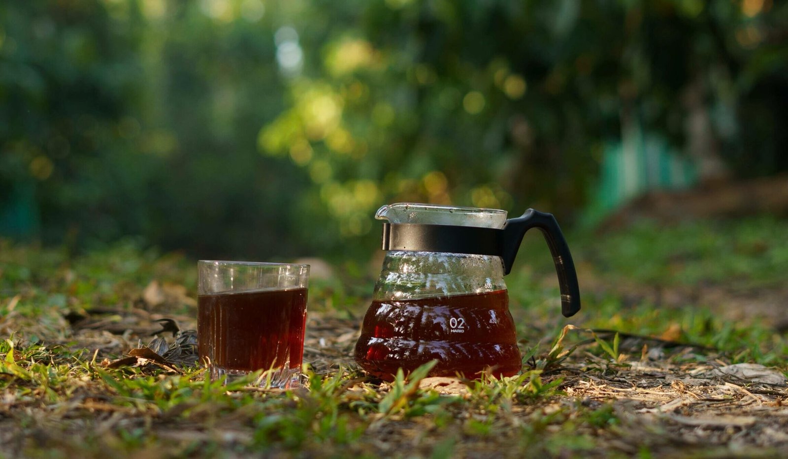 WhatsApp Image 2025-10-05 at 11.15.49