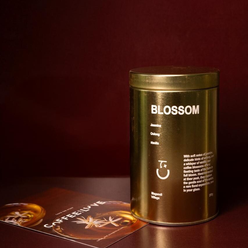 Coffee Blossoms